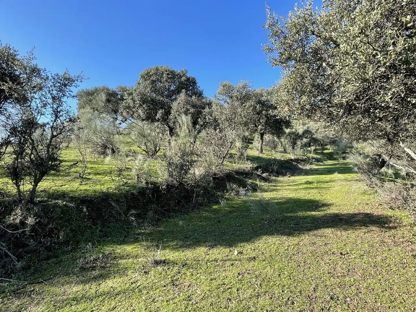Terreni e lotti in vendita a Malpartida de Plasencia, imagen 14