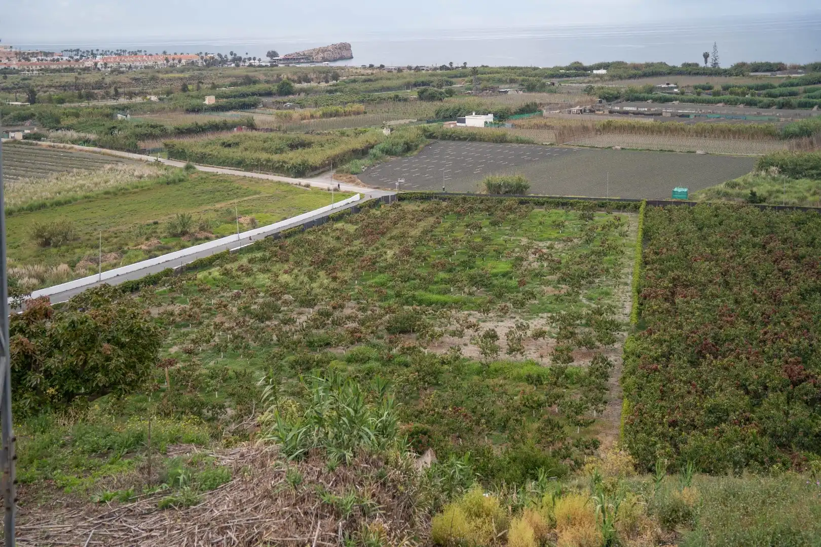 Terreni e lotti in vendita a CARRETERA MALAGA (CAL), imagen 88