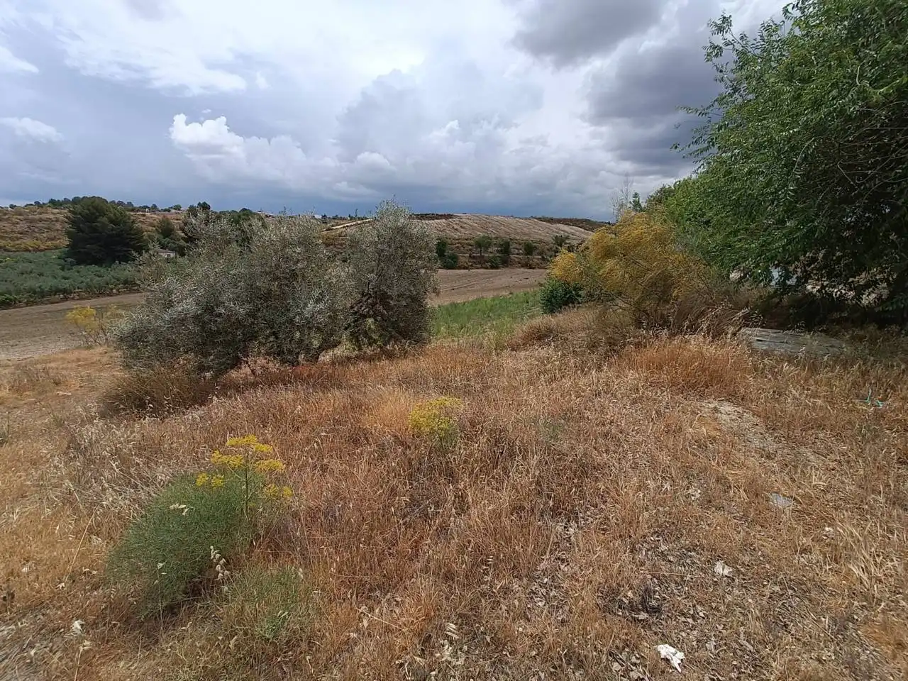 Rural land for sale in Moraleda de Zafayona, imagen 14