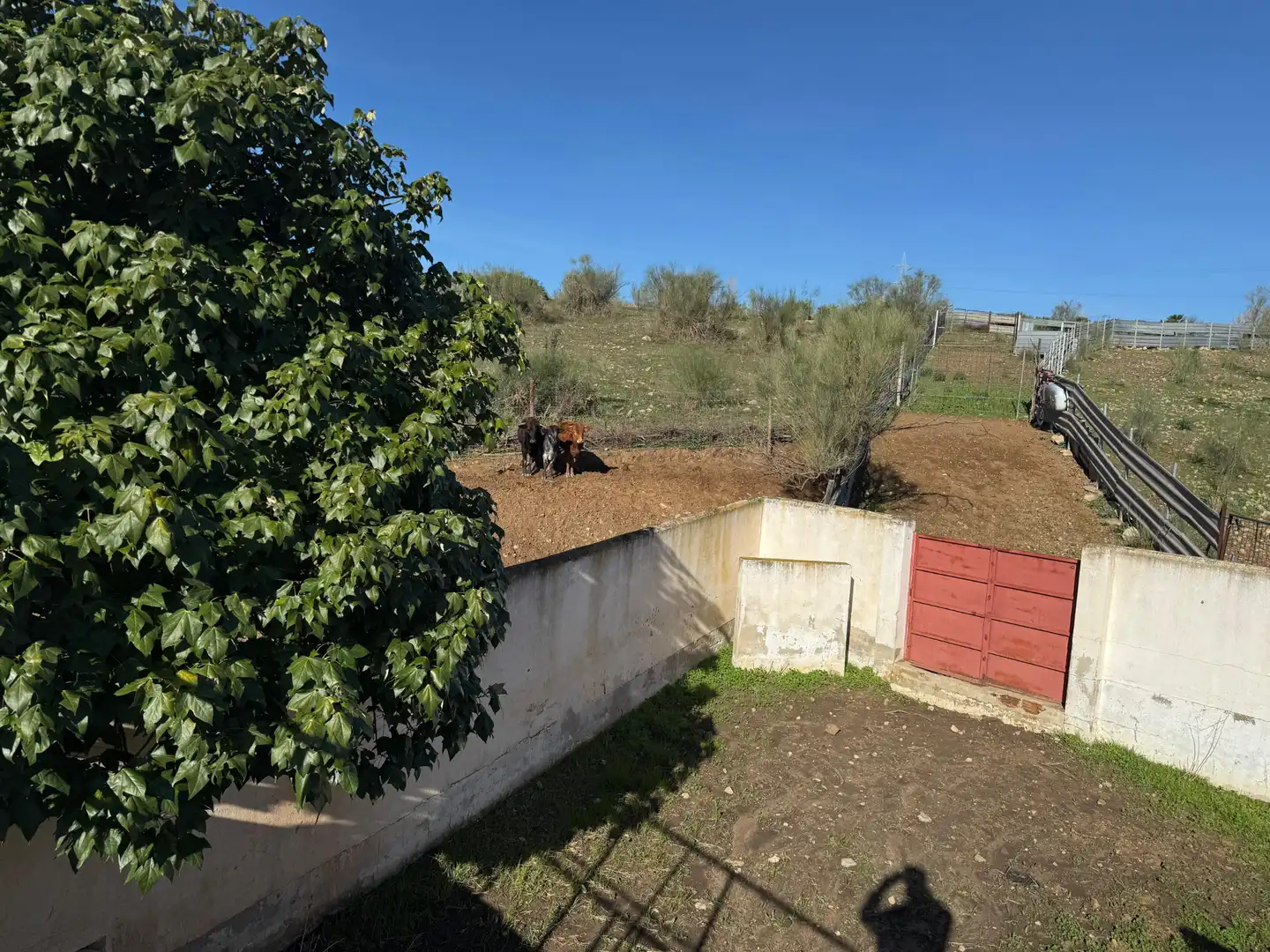 Houses for sale in Málaga  with Furnished