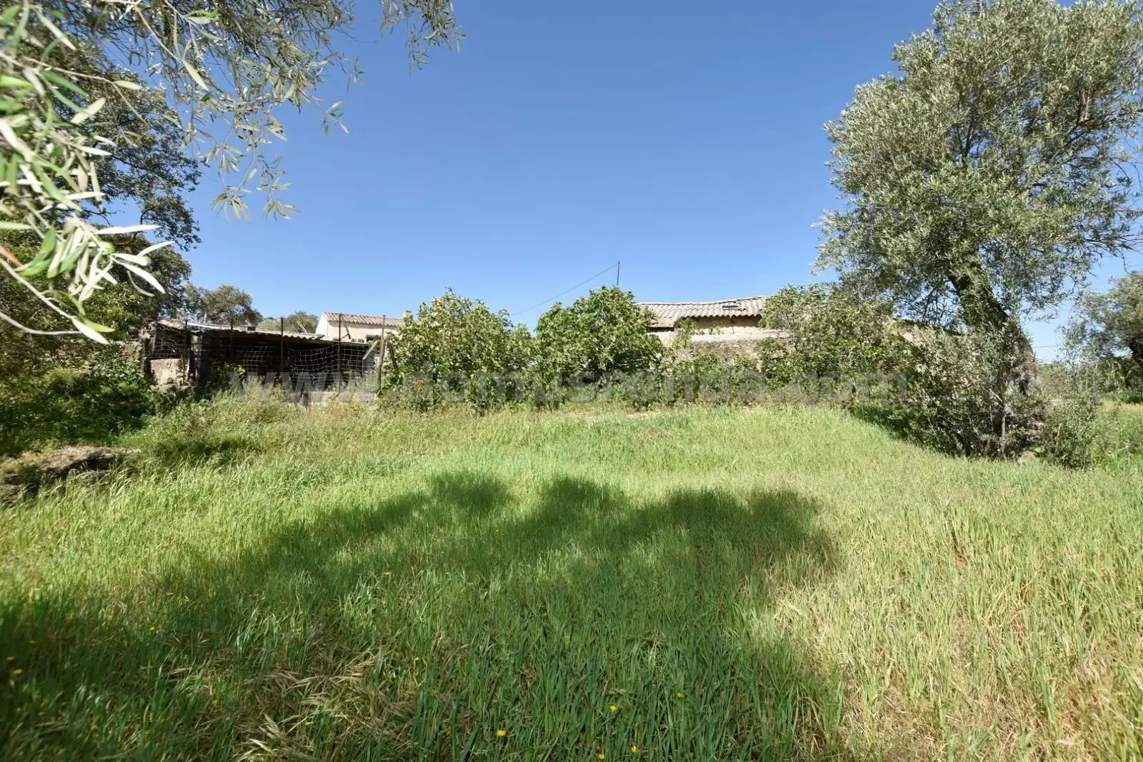 Finca rústica en venda en Ronda