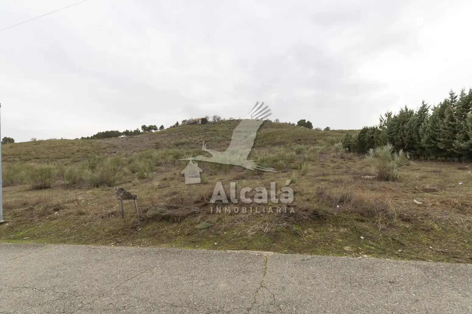 Terreny residencial en venda a Illana, imagen 12