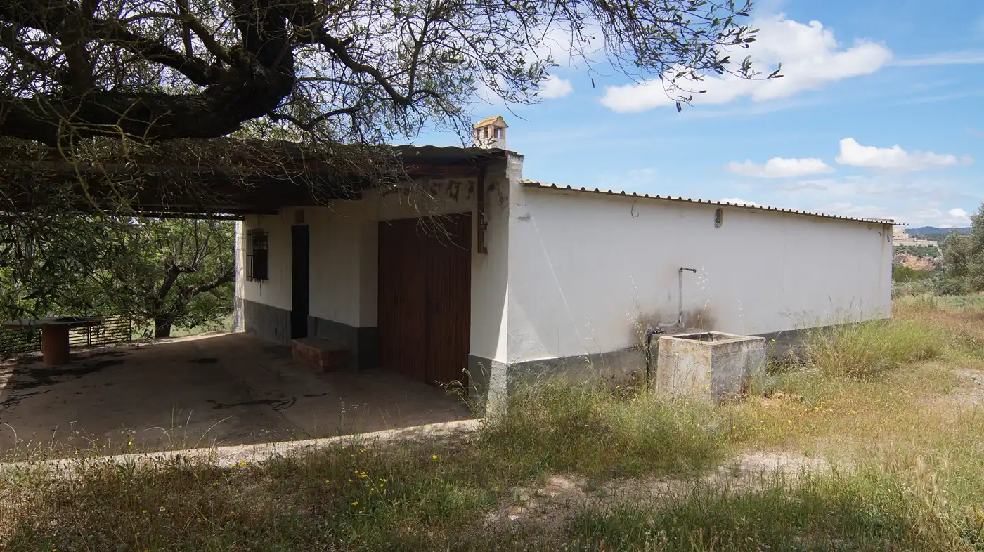 Vista exterior de Terreno en venta en Ginestar