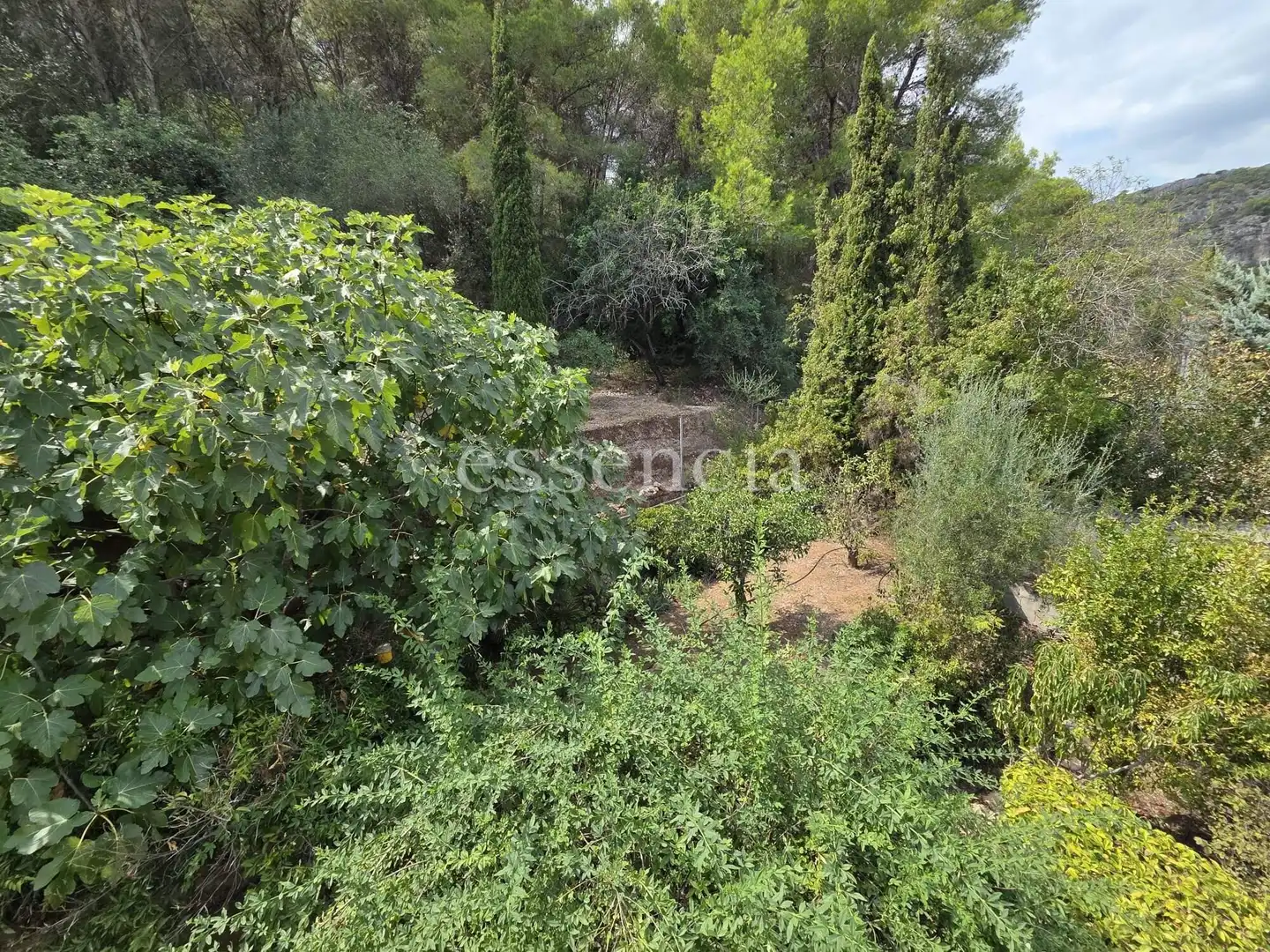 Chalet con terraza en venta en Ròtova, imagen 48