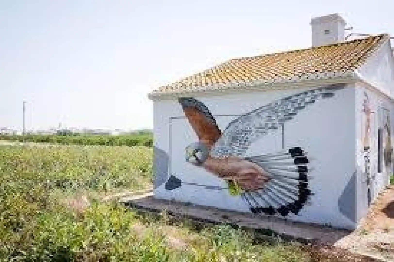 Vista exterior de Àtic en venda en Massalfassar amb Aire condicionat, Calefacció i Terrassa