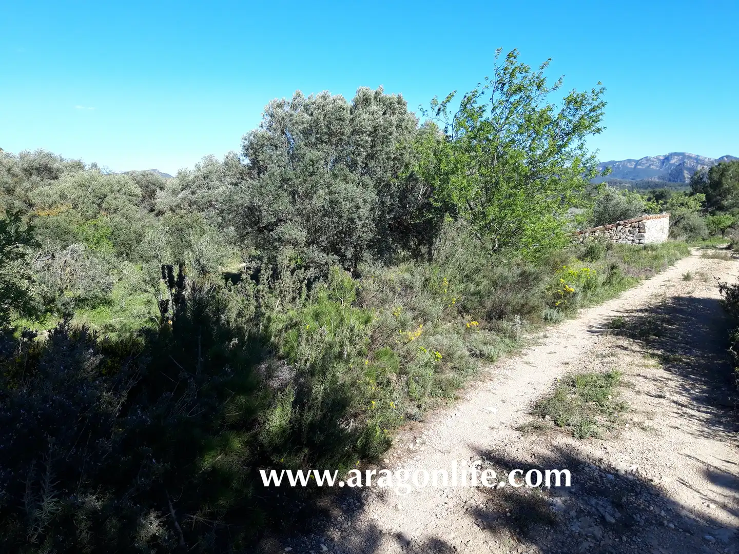 Rural land for sale in C-43, imagen 5