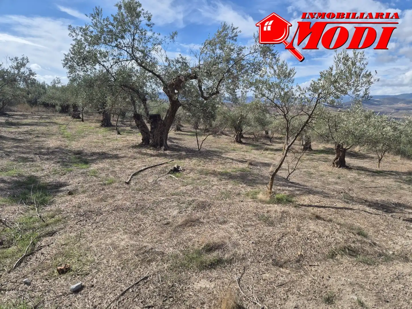 Lands and plots for sale in Dúrcal, imagen 15