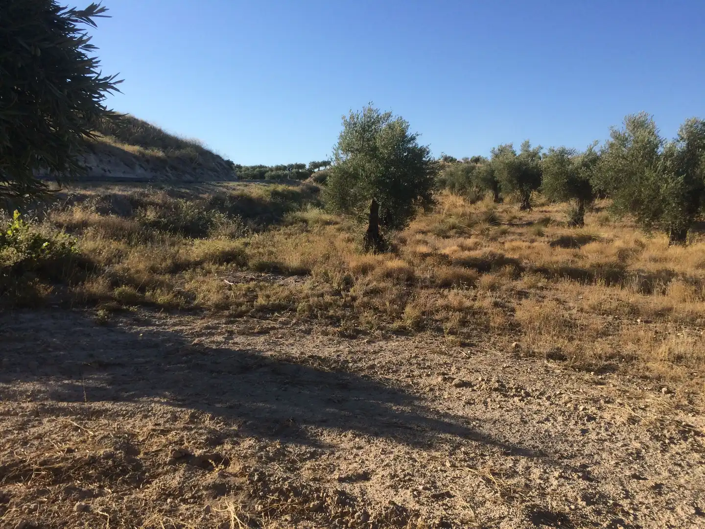 Rural land for sale in M-315 4b, imagen 5