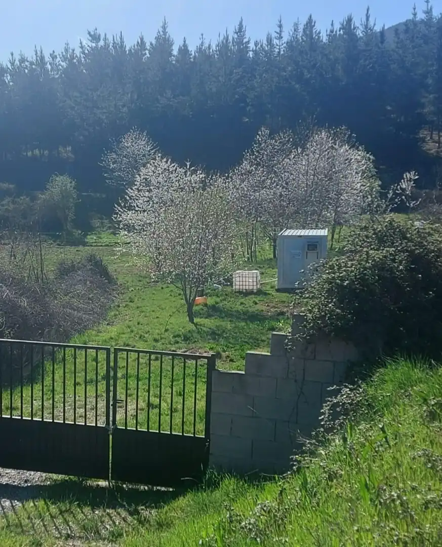 Finca rústica en venta en Molinaseca
