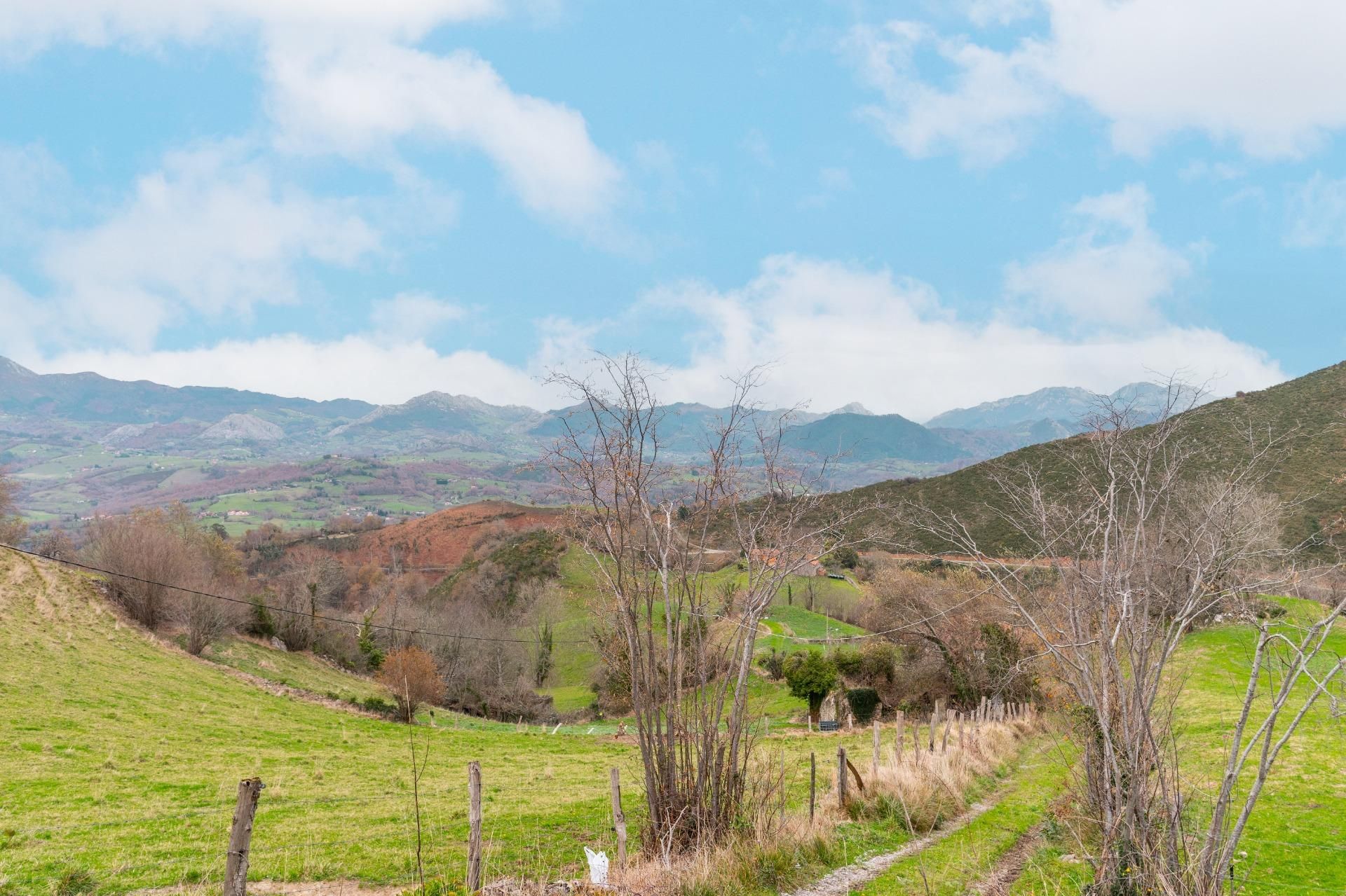 Vista exterior de Residencial en venta en Amieva