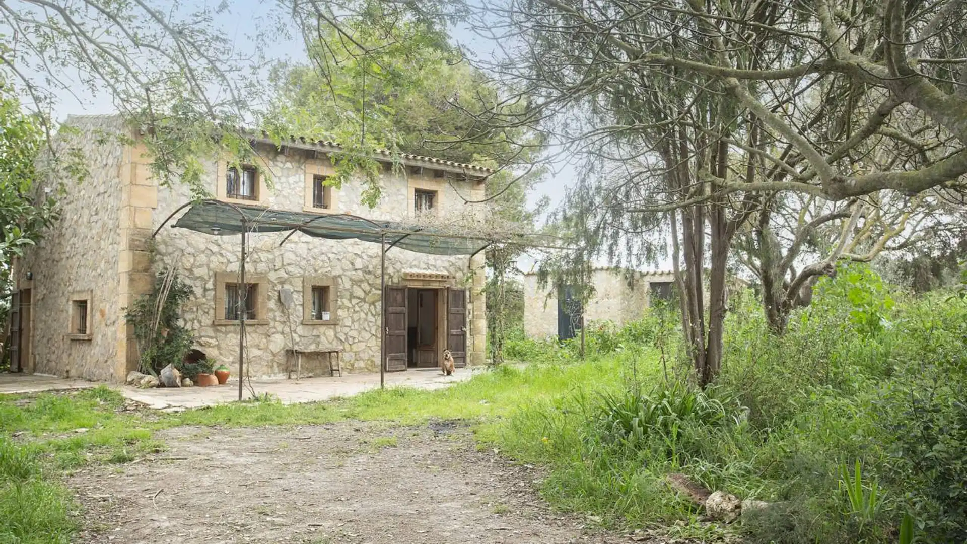 Vista exterior de Finca rústica en venda en Manacor amb Moblat