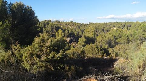 Foto 5 de Terreny en venda a Plaza Mayor, 8, La Pesquera , Cuenca