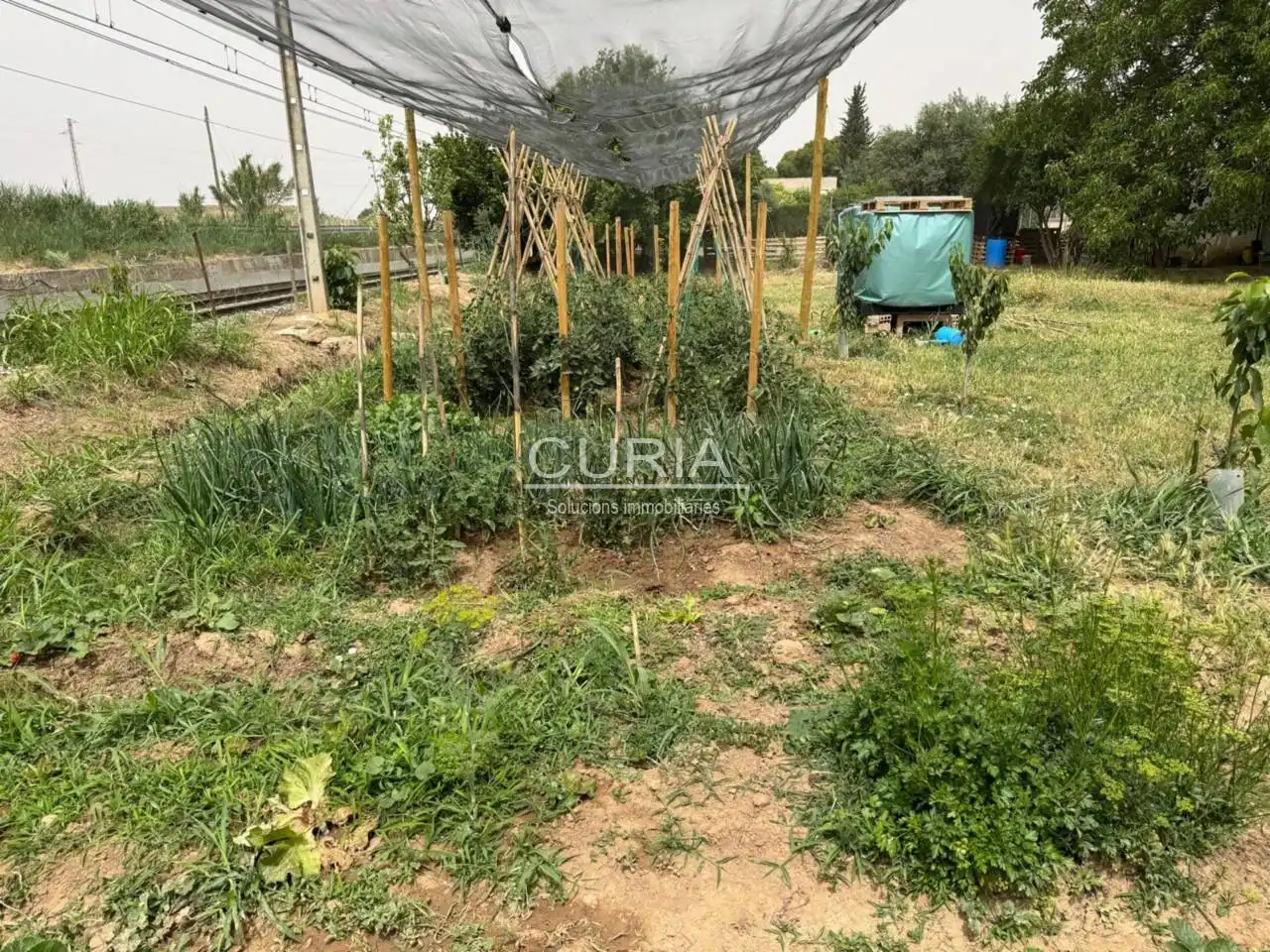 Land for sale in Cappont