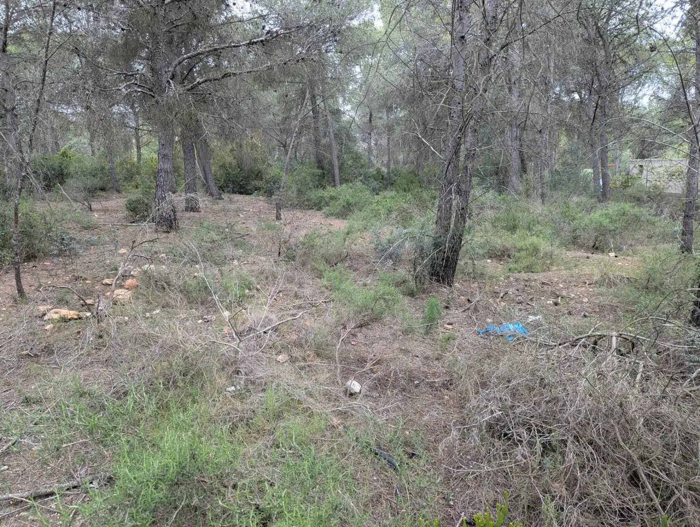 Terreno rustico in vendita a Camino 2 39, imagen 5