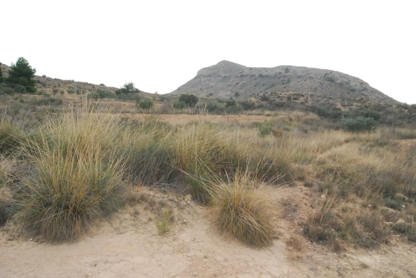 Terreno rustico in vendita a Valle del Sol, imagen 16