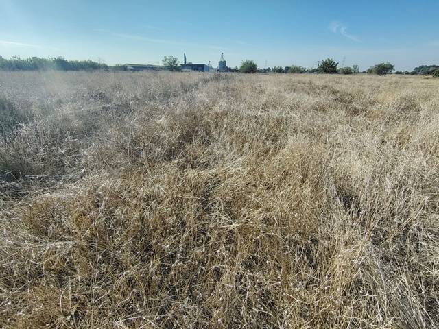 Terreno en Venta en camino perdiguera en Peñaflor