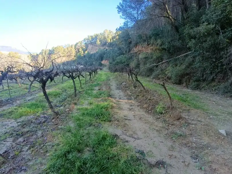 Terreno rústico en venta en Carretera de piera 1, imagen 3