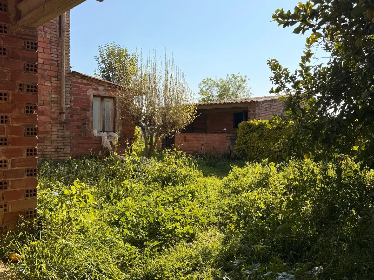 Maison avec jardin à vendre à Barri Mas Saballs, imagen 21