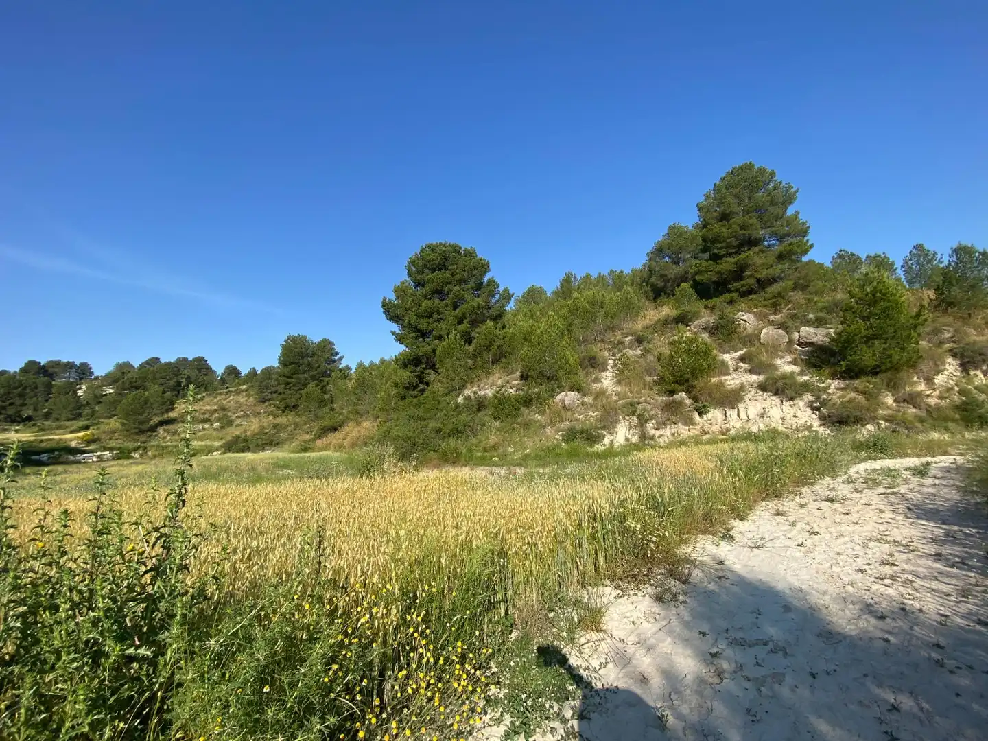 Villa à vendre à Moratalla, imagen 76