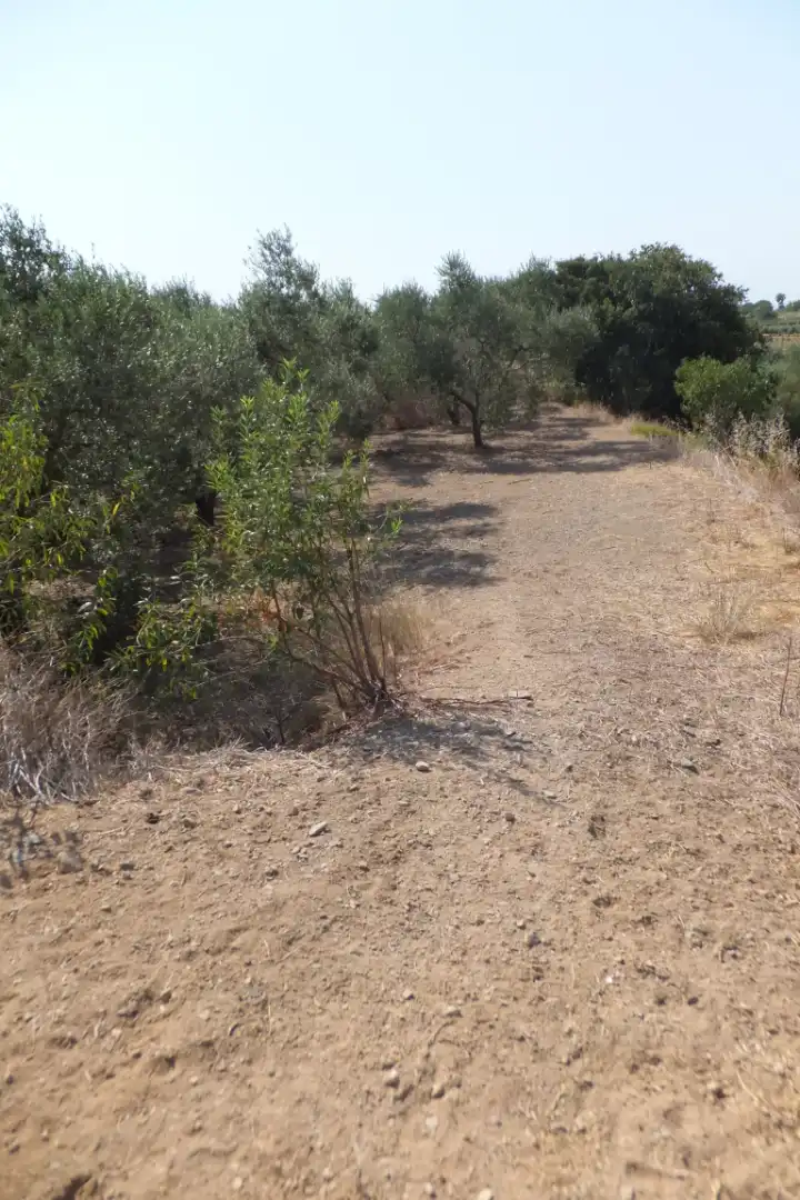 Terreno rústico en venta en Vial Camino 20, imagen 66