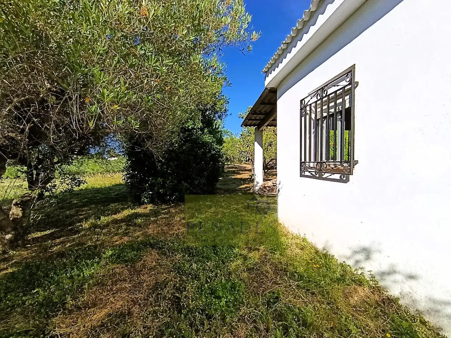 Jardín de Casa o chalet en venta en Ontinyent con Jardín privado