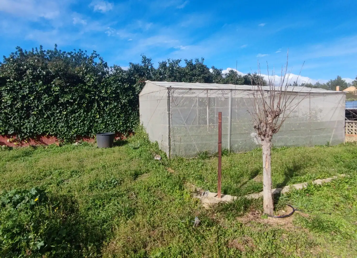 Casa rustica con piscina in vendita a Montserrat, imagen 43