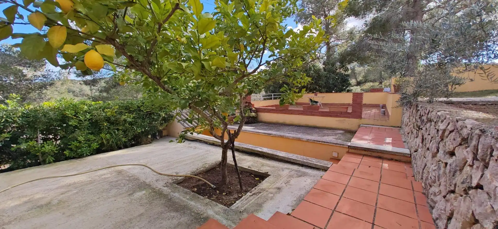 Houses for sale in La Bisbal del Penedès