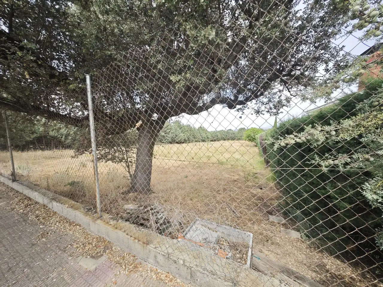 Terreni e lotti in vendita a La Barca, imagen 4