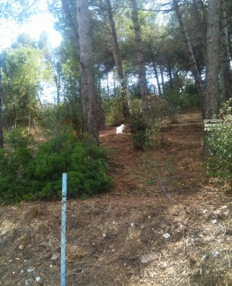 Terreno residencial en venta en Sant Muç, imagen 5