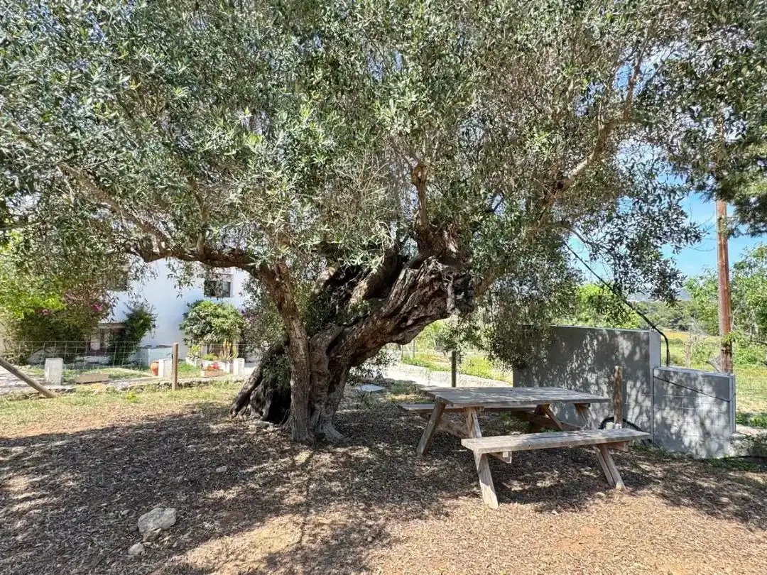 Jardí de Casa o xalet en venda en Sant Pere de Ribes amb Aire condicionat