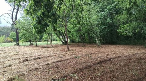FINCA RÚSTICA CON POTENCIAL MADERABLE E INVERSIÓN EN LUGO, immagine 3