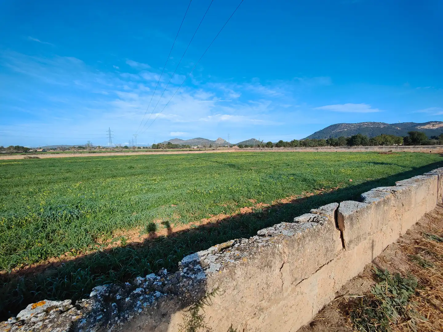 Terreno en venta en Llucmajor