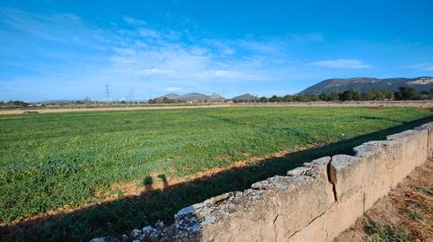 Photo 4 of Land for sale in Llucmajor pueblo, Illes Balears