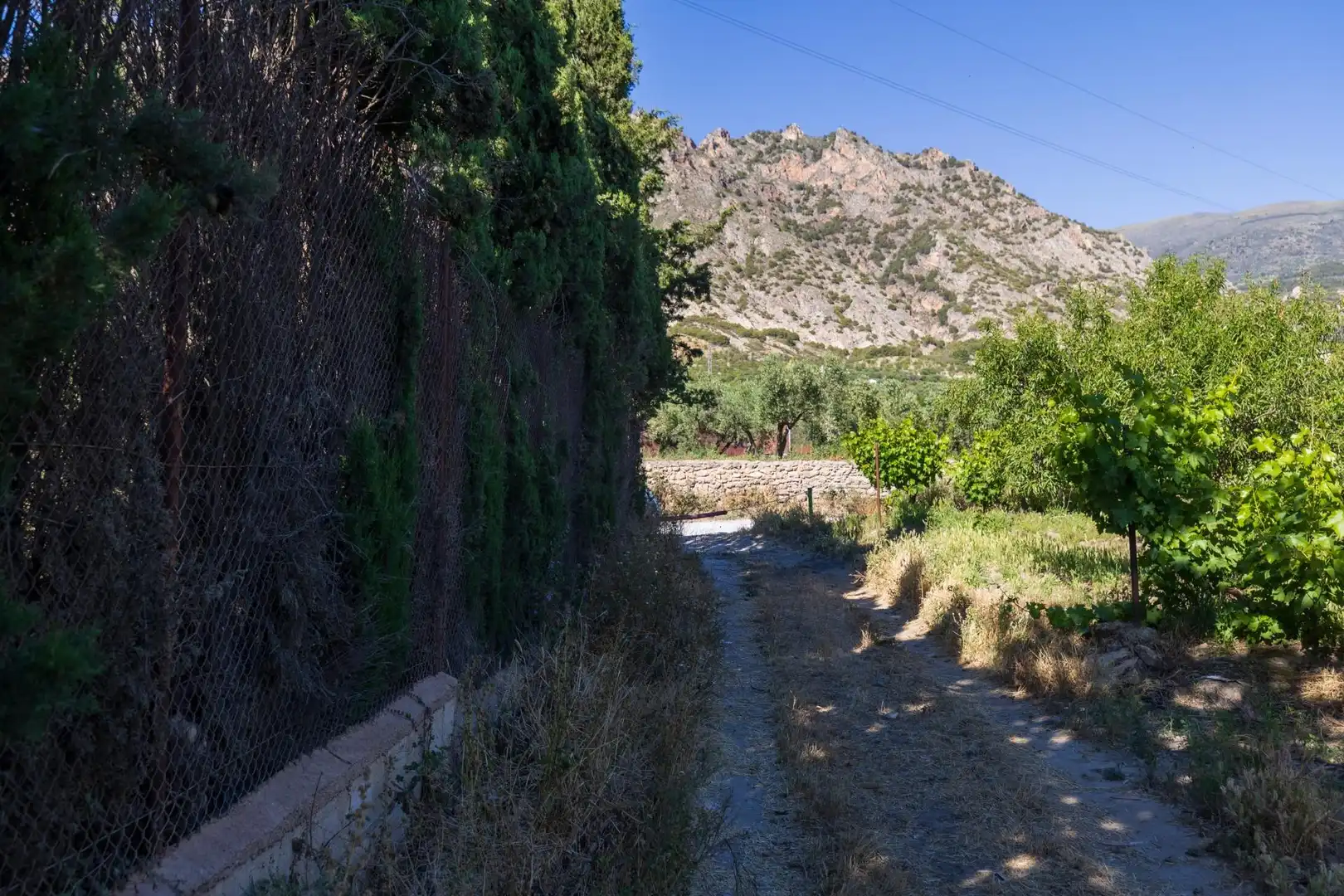 Rural land for sale in Dúrcal, imagen 25