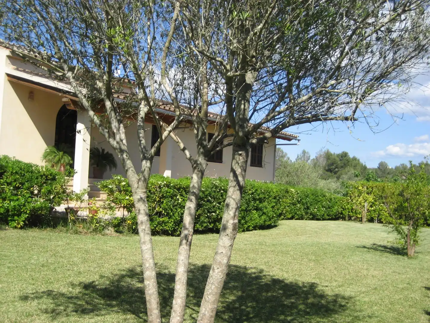 Villa mit Pool zur Miete in de MUro 5, imagen 13