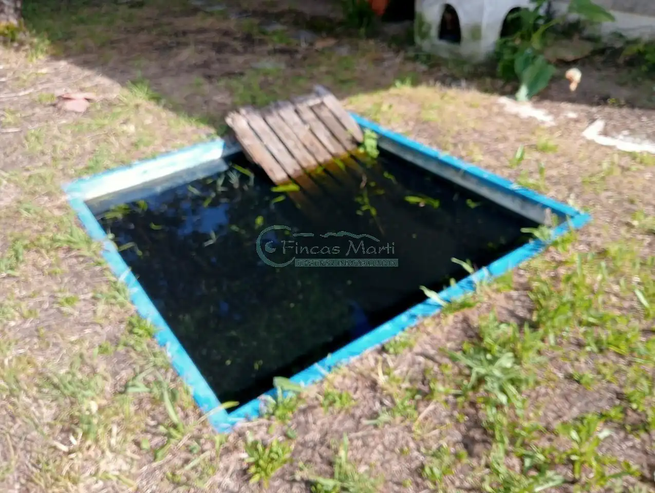 Piscina de Casa o chalet en venta en Vigo  con Calefacción, Jardín privado y Terraza