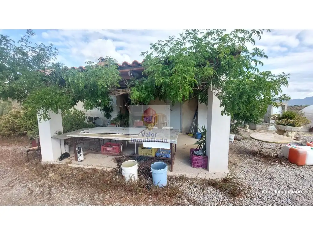 Vista exterior de Casa o chalet en venta en Murcia