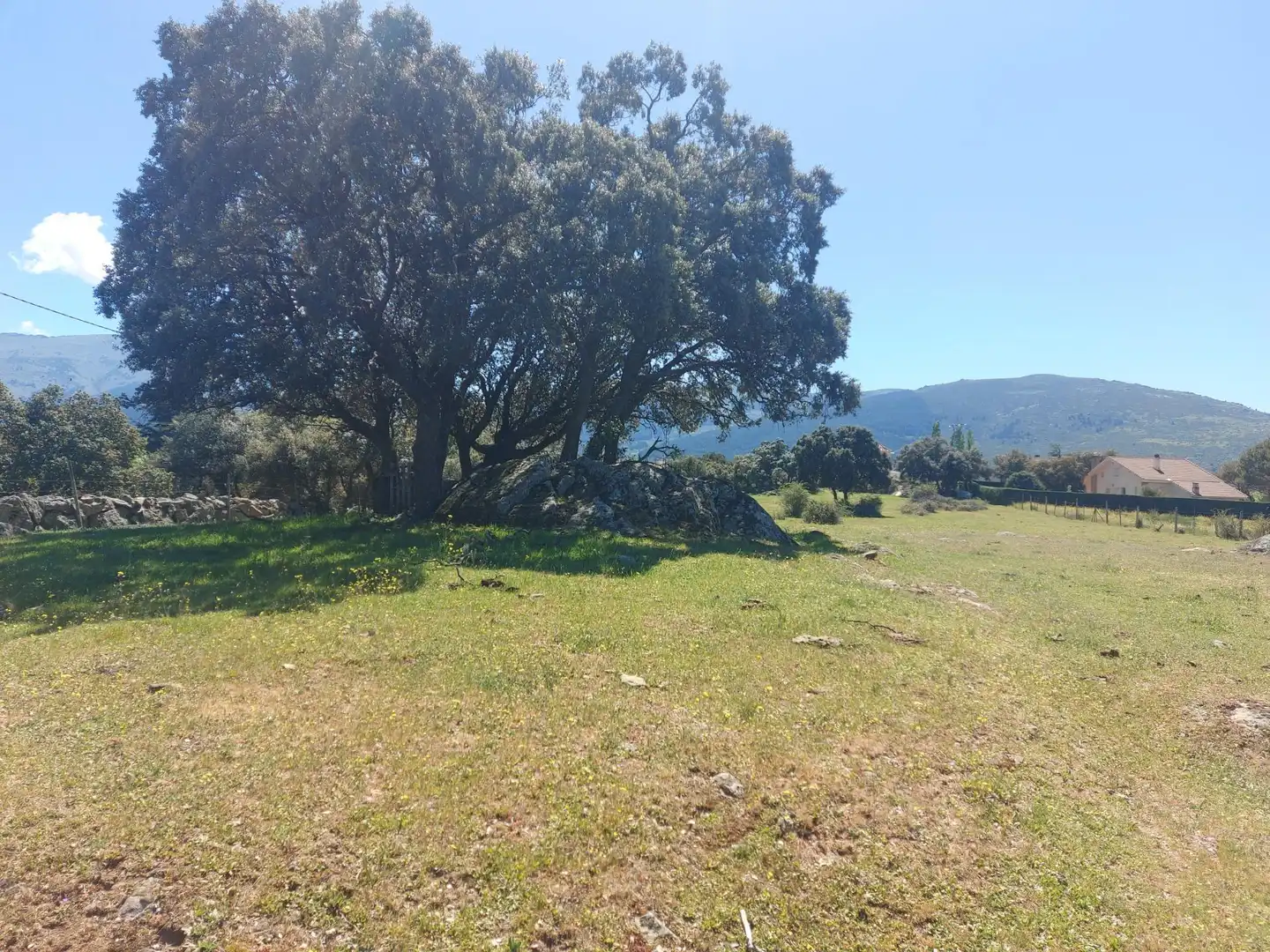 Terreny residencial en venda a Ortigosa del Monte, imagen 3