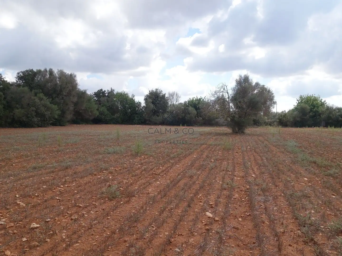 Residential land for sale in Felanitx Poble, imagen 13