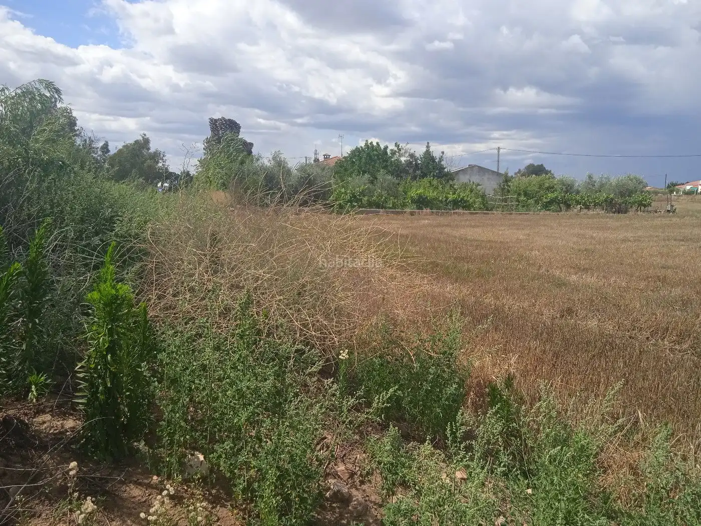 Terreno rustico in vendita a EX-105 9, imagen 7