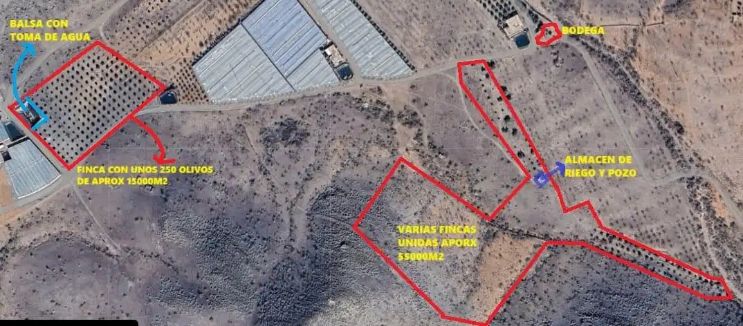 Lands and plots for sale in Campo de Gergal, imagen 16