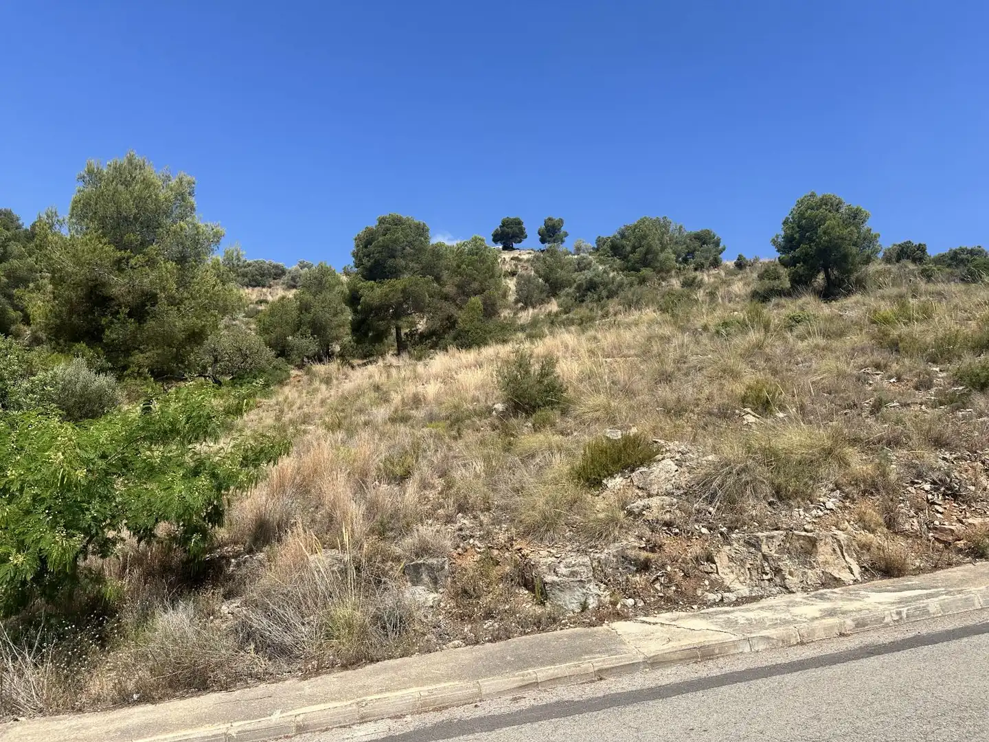 Wohnbaugrundstück zum Verkauf in Algar de Palància, imagen 15