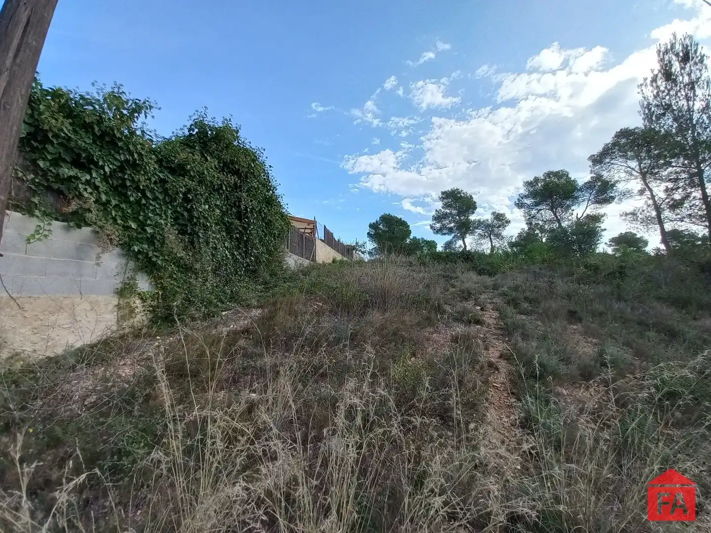 Terreny rústic en venda a La Bisbal del Penedès, imagen 2