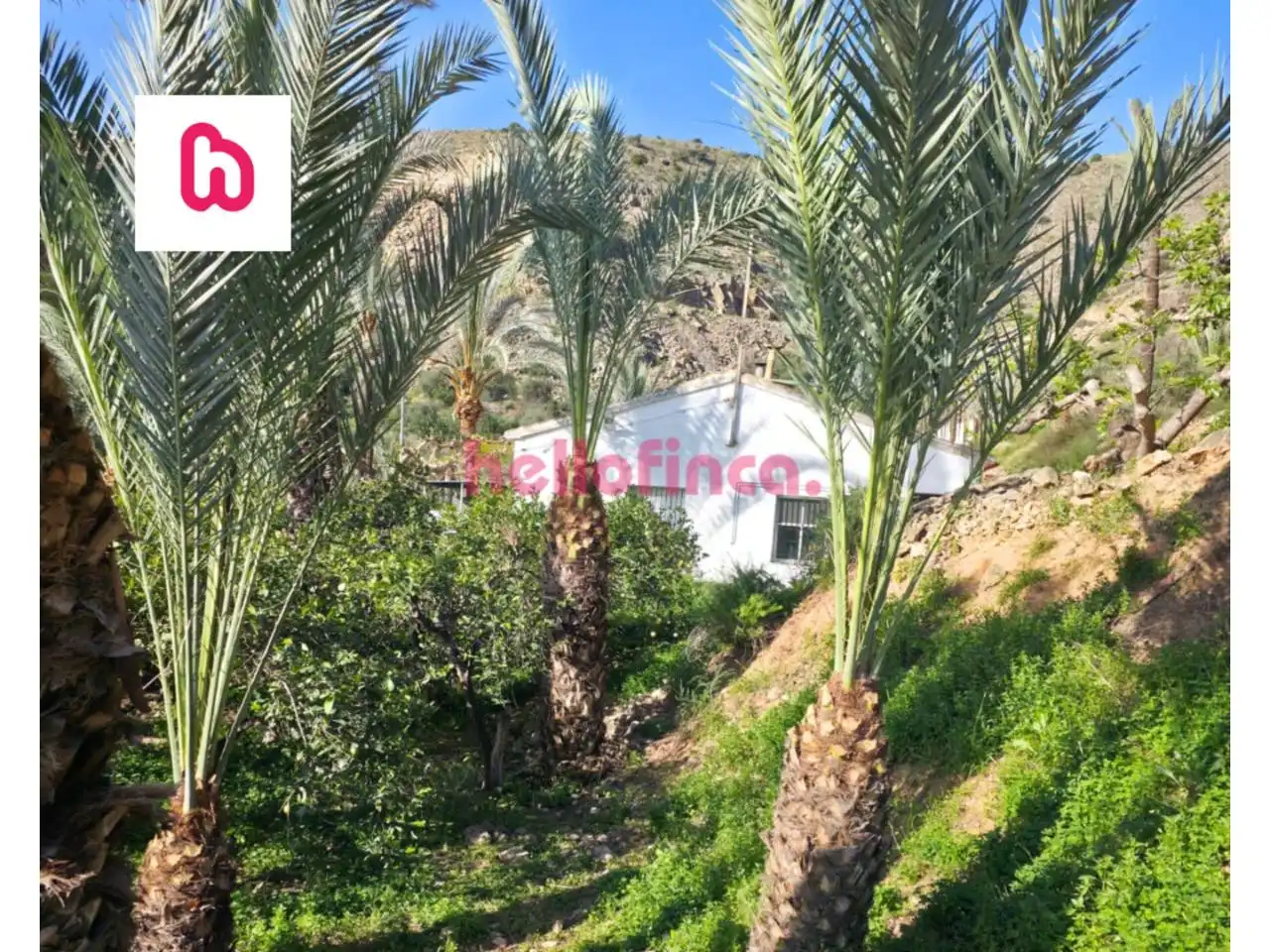 Jardí de Finca rústica en venda en Orihuela amb Aire condicionat, Calefacció i Jardí privat
