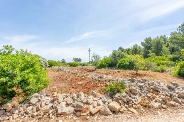 Residential land for sale in Centro ciudad, imagen 8