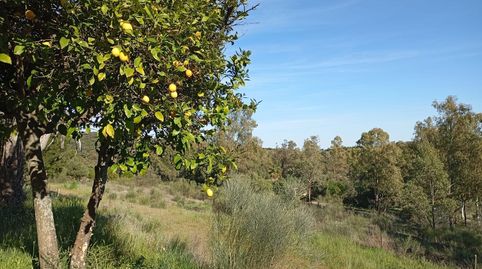 Finca Rústica a 10 Minutos de Cáceres El Refugio Perfecto, imatge 5