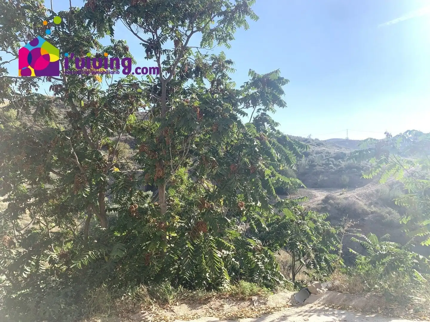 Casa rustica in vendita a Oria, imagen 31