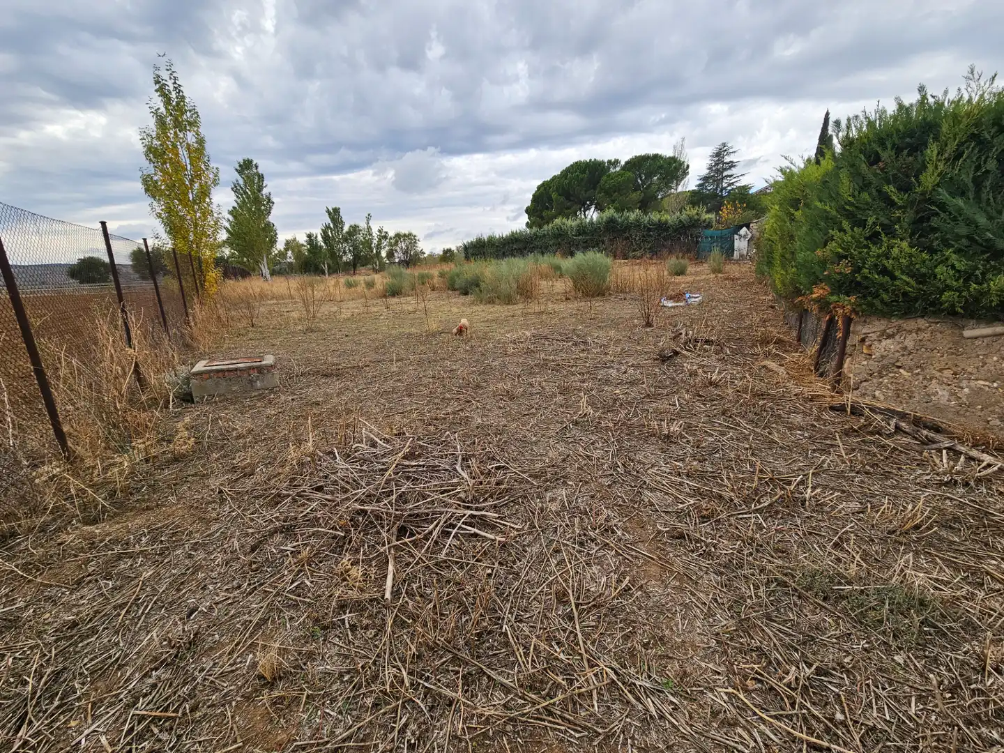 Wohnbaugrundstück zum Verkauf in Camino de la Pañera 14, imagen 11