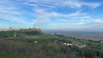 Vista exterior de Casa o xalet en venda en Carmona amb Terrassa