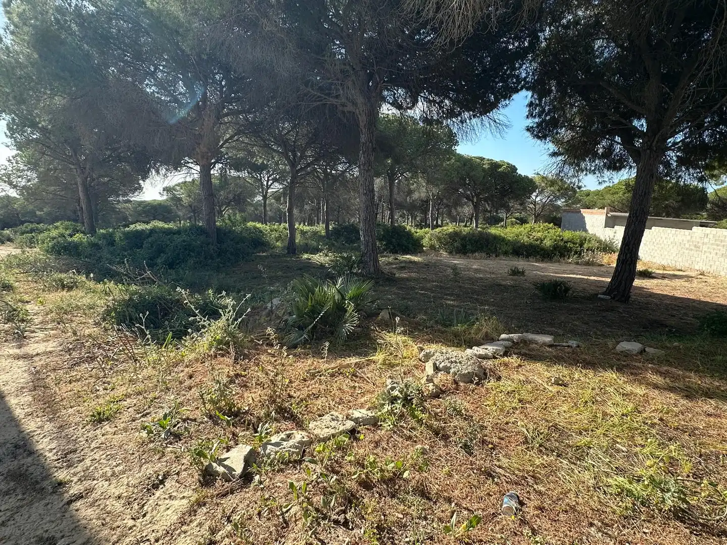 Rural land for sale in Las Lagunas - Campano, imagen 5